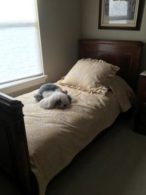 Twin Beds Austrian Antiques Dark Wood With Bedspread And Shams