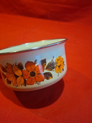 Lot de 2 assiettes émaillées vintage