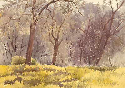 David William Burley (1901-1990) - 1968 Aquarell, Olivenhain
