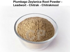 Plumbago Zeylanica Root Powder Leadwort Chitrak Chitrakmool 50gm 1.7 OZ '