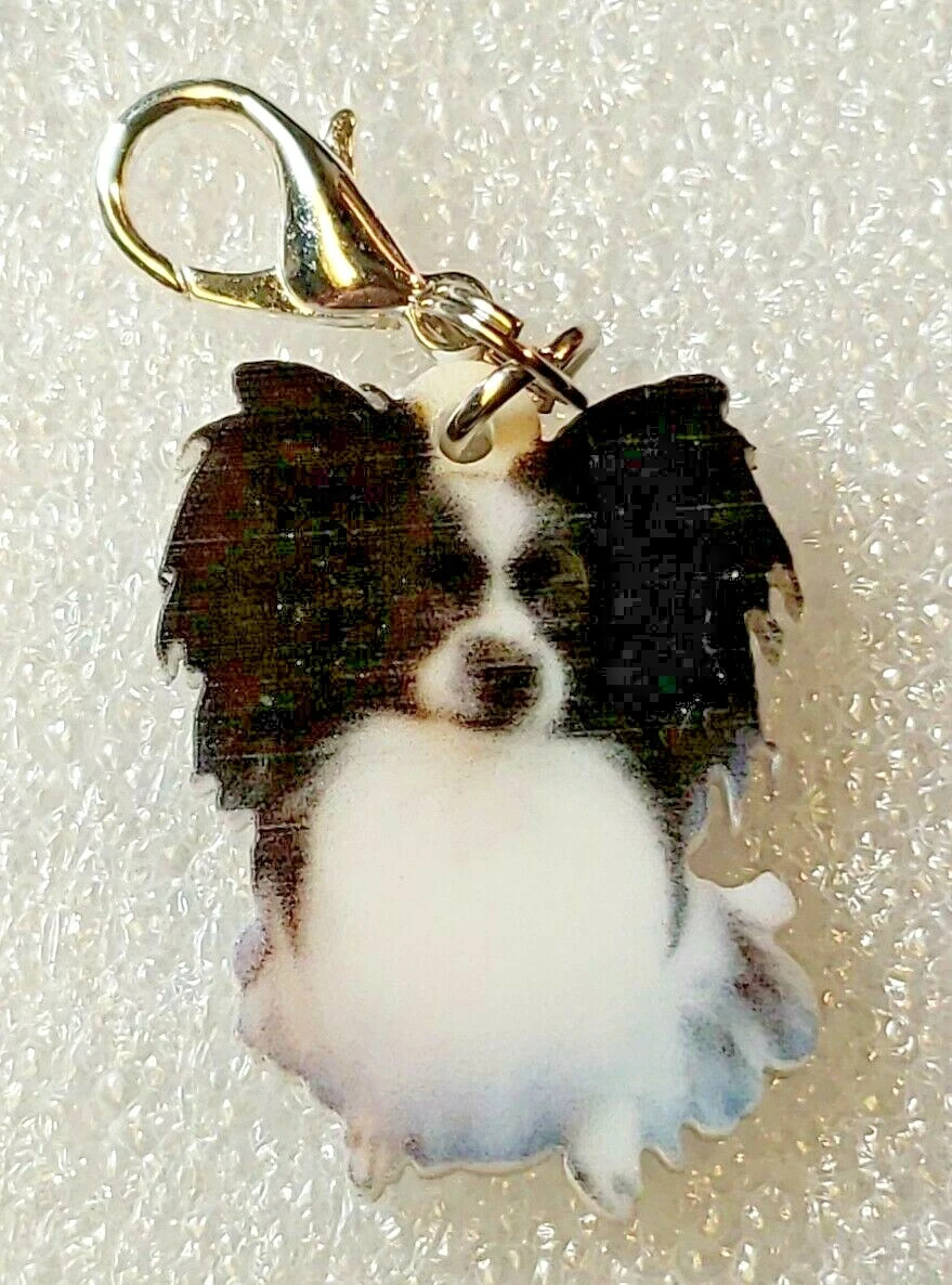Papillon dog jewelry sale