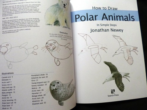 HOW TO DRAW ANIMALS IN SIMPLE STEPS - TITLES TO MIX & MATCH - DOGS CATS WILD ETC - Picture 17 of 128