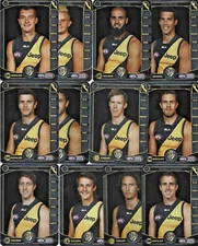 2014 TEAMCOACH RICHMOND SILVER CARD CODE SET DUSTIN MARTIN CARD INCLUDED IN SET