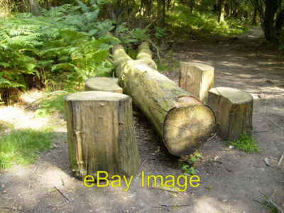 Foto 6x4 Behelfstisch und Stühle am Weg in Eggerslack Wood Grange-Ov um 2006