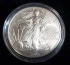 2005 American Silver Eagle