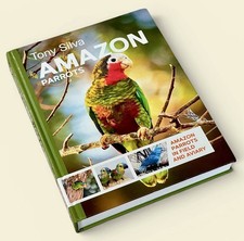 Amazon Parrots In Field And Aviary