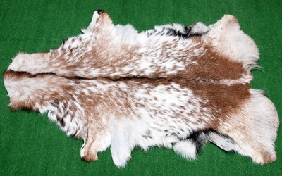 Luxus Ziegenfell Teppich Haar auf Fläche Teppich Größe 34''x26'' Tierleder Ziegenfell G326