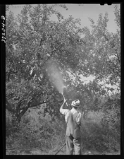 11804.Decoration Poster.Room wall.Home vintage design.B&W farmer.Garden art