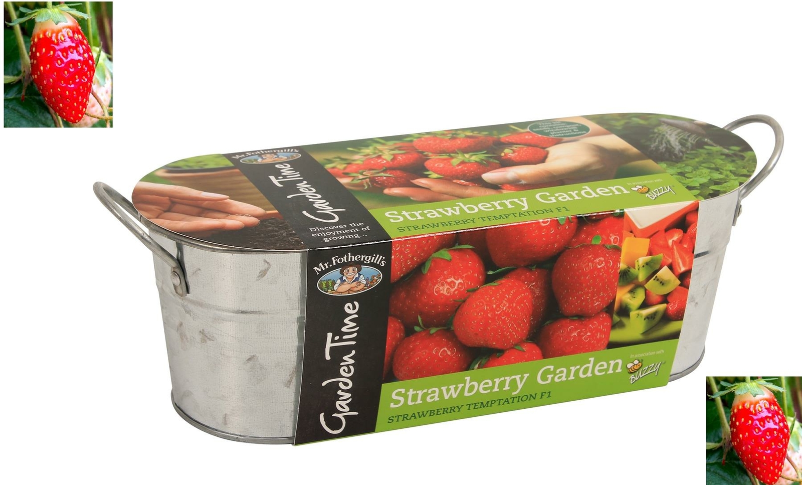 Strawberry Herbs Seeds Indoor Sunflower growing kit Mr Fothergill's eBay