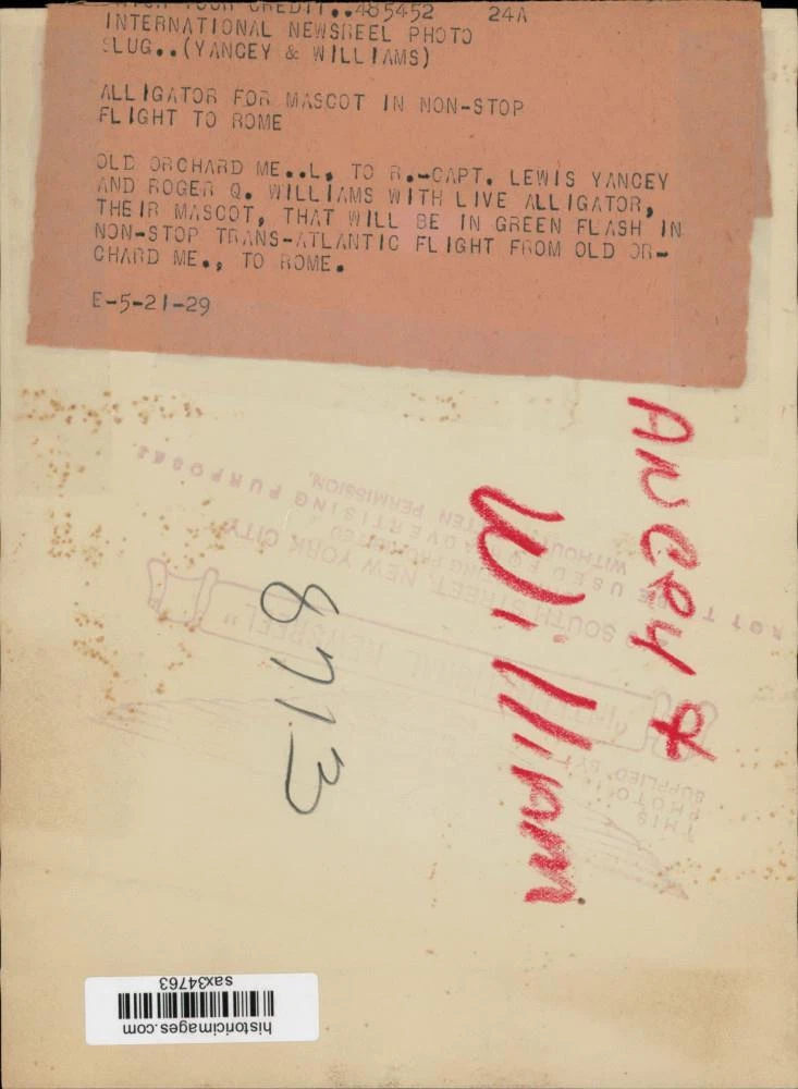 1929年 プレスフォトアビエイター キャプテン Lewis Yancey and Roger Q. Williams. メイン - 画像2/2