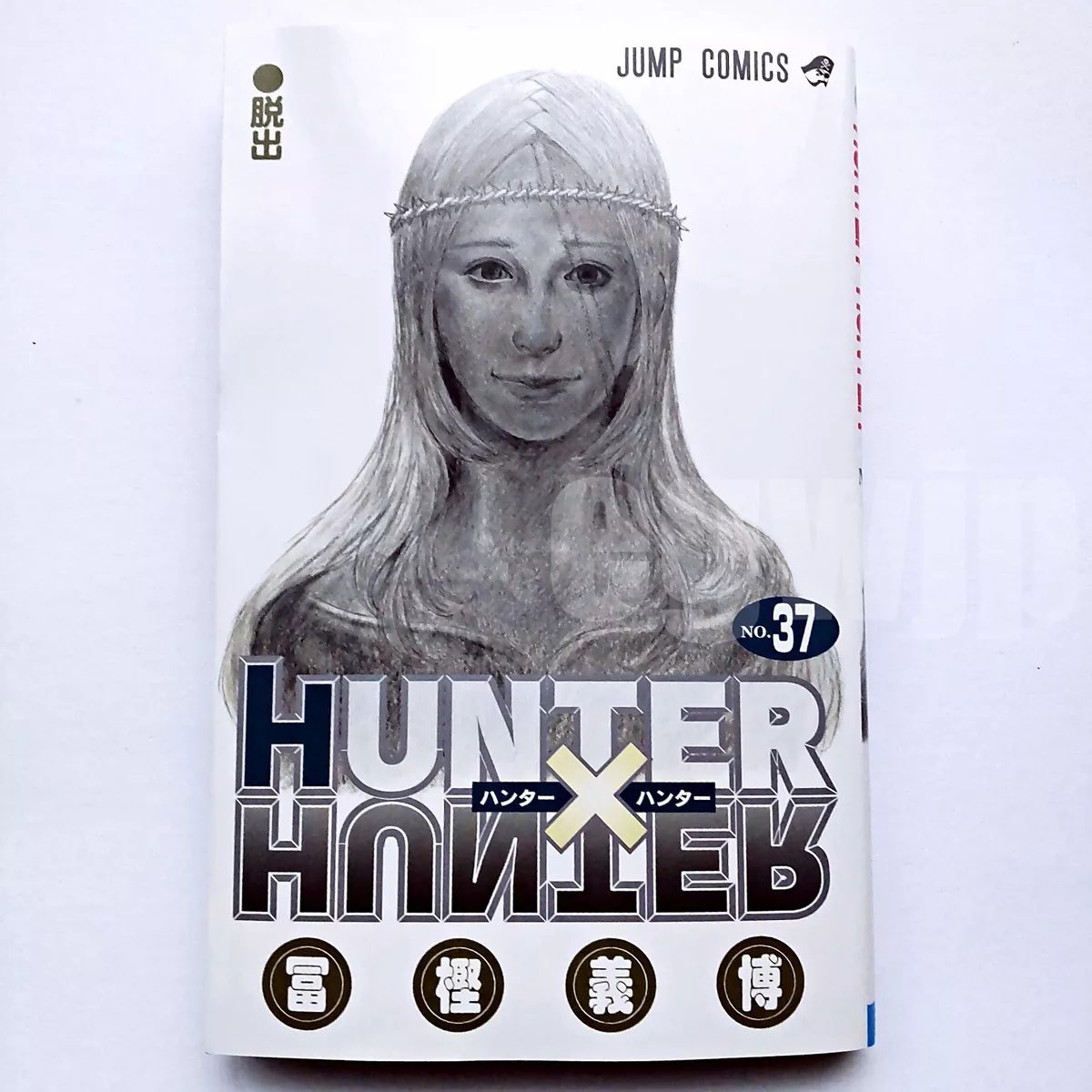 Hunter × Hunter, Hunter × Hunter Book!