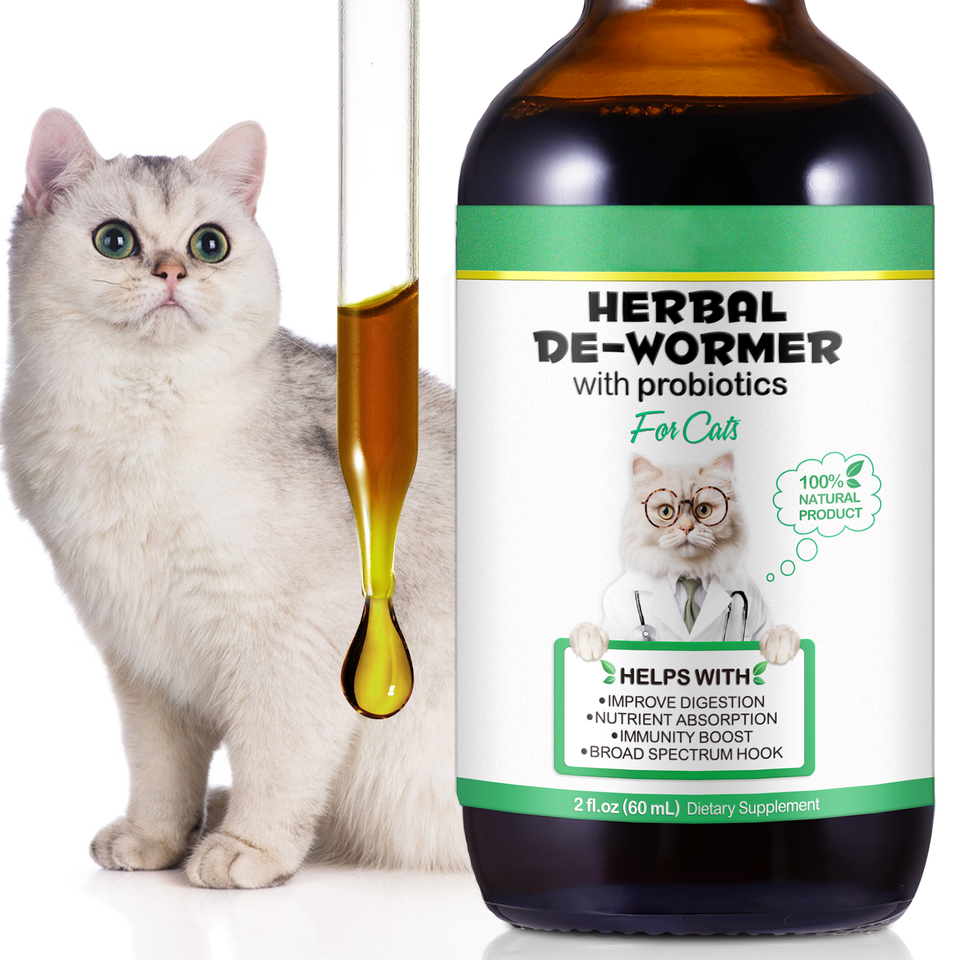 Curated visual reference: Visual Reference: Natural Tapeworm Treatment For Cats