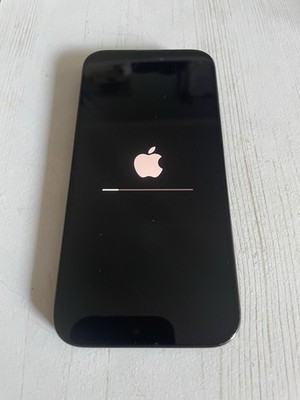 iPhone 15 Pro 256 GB Titan Gebraucht Top Zustand