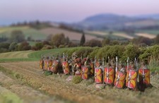 Superb 15mm Early Imperial  Roman Legionaries.  DBM, DBA, FOG, etc