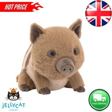 Swinley Boar Jellycat | Jelly Journal