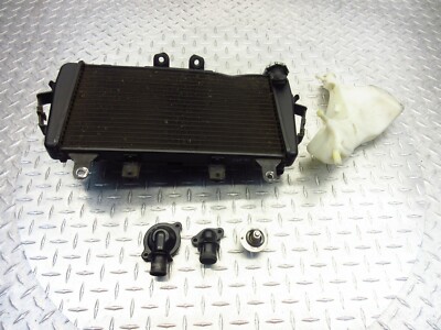 2008 07-12 Triumph 1050 Tiger OEM Radiator Engine Fluid Cooling Fan Bottle Lot