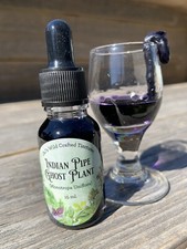Ghost Pipe Indian Pipe Tincture with a Flower In The Bottle 15 ml Drops