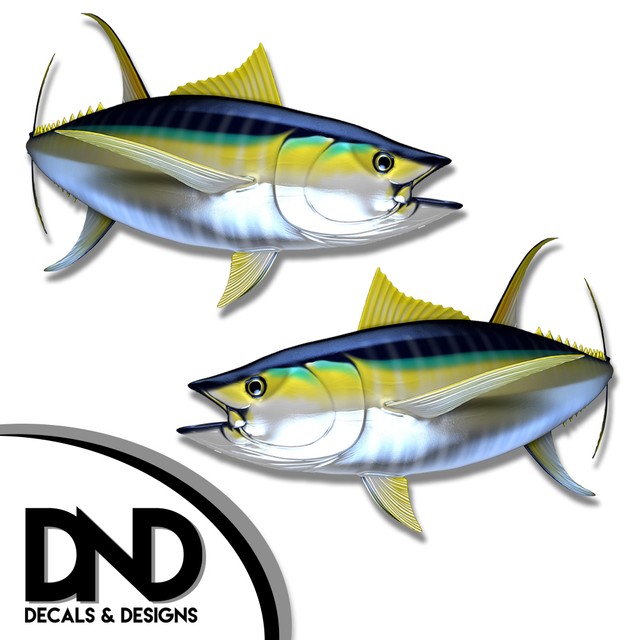 Yellowfin Tuna Fish Decal Fishing Tackle Box Bumper Sticker "5in SET