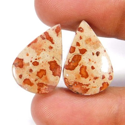 100% Natural Asteroid Jasper Pair Pear Cabochon Loose Gemstone 23.50Cts.