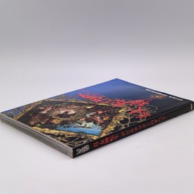 Shin Megami Tensei Devil Summoner no Subete Guide Book 1996 Sega Saturn SS Atlus