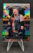 2024 Panini Select WWE Silver Prizm #89 Diamond Dallas Page Wrestling Card