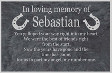 Targa insegna commemorativa personalizzata gallese ardesia cavallo pony