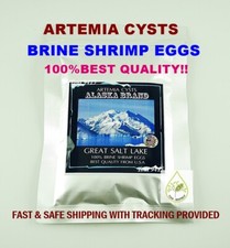 Artemia Cysts 90% ALASKA USA PREMIUM High Quality Guarantee Brine Shrimp Egg