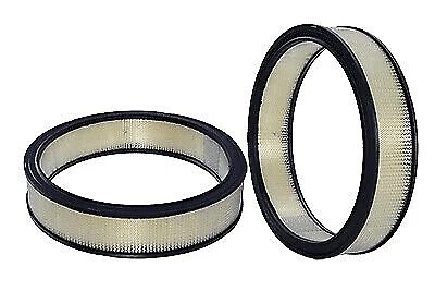 Filtro de aire de motor tipo OEM WIX para Ford F-100 1970-1972 V8-5,0 L Foto 2 de 4