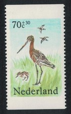 Netherlands Black-tailed Godwits Pasture Birds Vert perf 1984 MNH SG#1438
