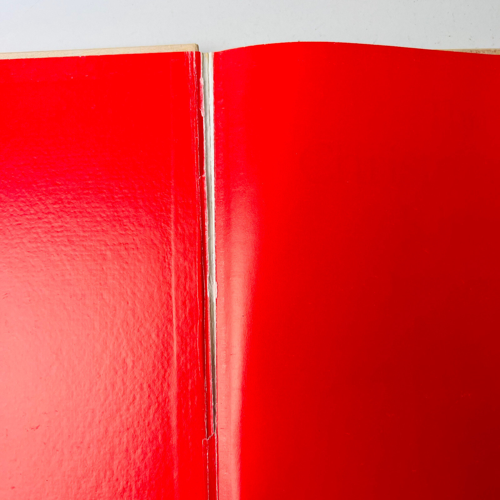 James Herriot The Christmas Day Kitten Childrens Hardcover 1986 Picture