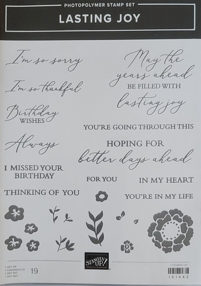 retired-photopolymer-stampin-up-sets-you-pick-from-the-pull-down-menu