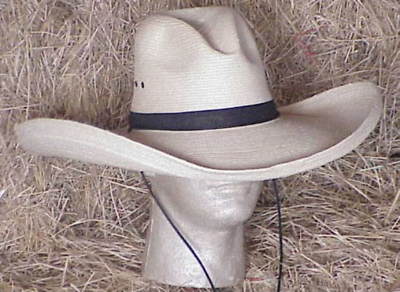 SUNBODY 6'' GUS STYLE PALM WESTERN HAT~NWT