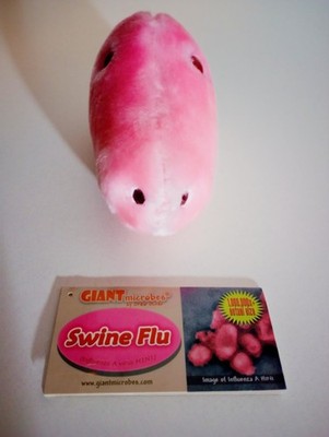 GIANTmicrobes Swine Flu (H1N1) Plush ~7  w/ Original Info Card
