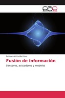 Esteban Del Castillo PéRez | FusióN De InformacióN | Taschenbuch | Spanisch