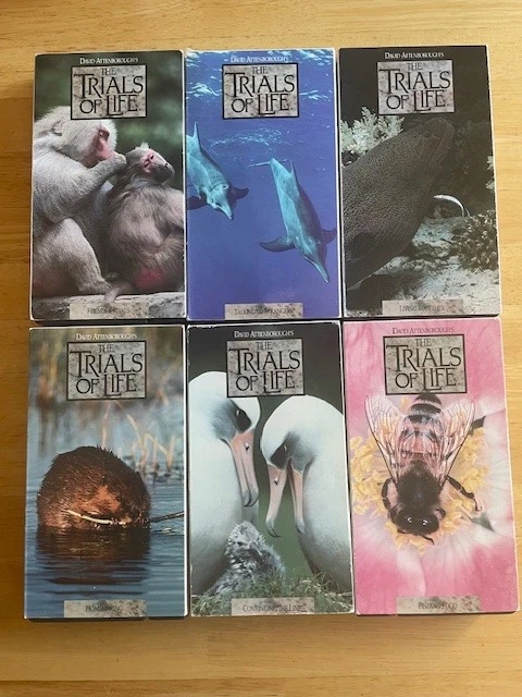 David Attenborough's 1991 Time Life The Trails of Life ~ 12 Volume Set VHS Tapes - Image 4 of 4