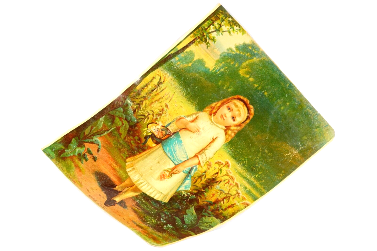 Victorian Hallett & Co Portland Maine LITTLE DAISY 1880