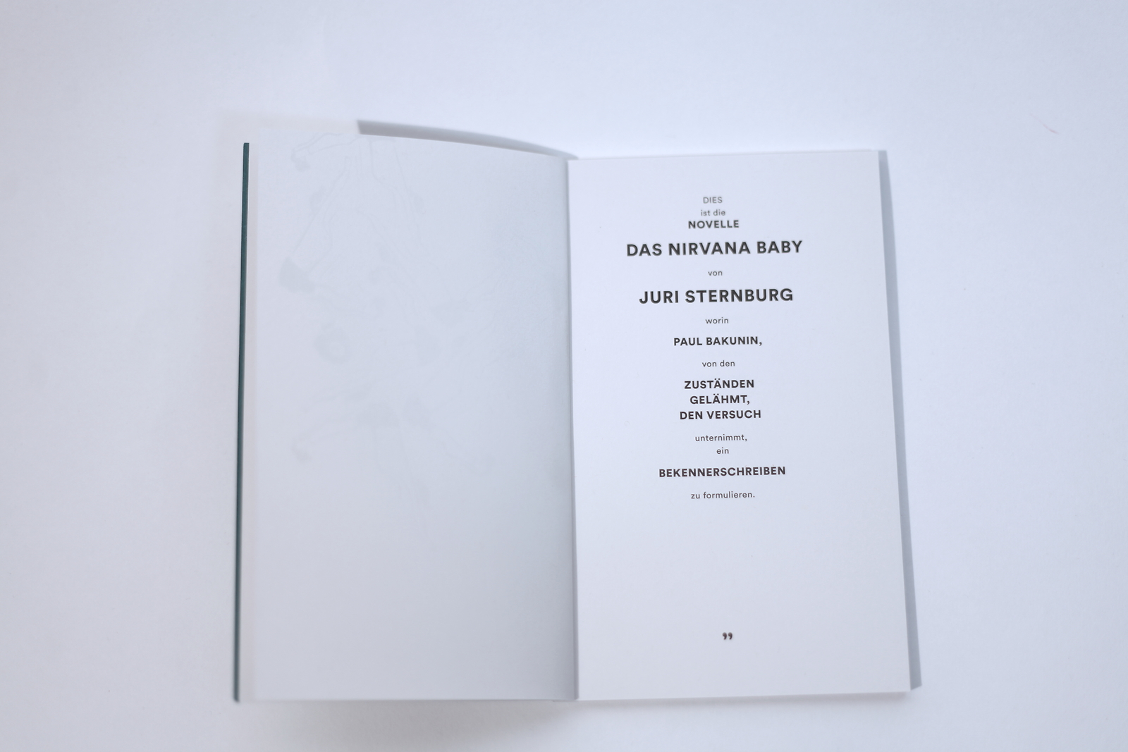 Thumbnail - Das Nirvana Baby, Juri Sternburg