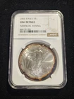 2002 American Silver Eagle 1 oz Coin NGC UNC Details Artificial Toning