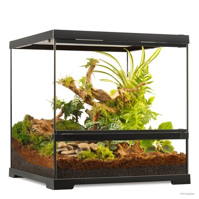 Exo Terra Pro Terrarium 45 x 45 x 45cm - Innovatives Terrarium 