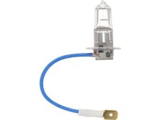 For 1994-1996, 1999-2000 Ford F150 Fog Light Bulb Front Philips 38963XRQN 1995
