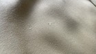 Bild 17 von 23