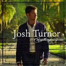 Everything Is Fine von Turner,Josh | CD | Zustand sehr gut