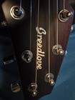 Dave Matthews Band Autograph Guitar Breedlover 2015 1 Of 1 Original Painting  — photo 8