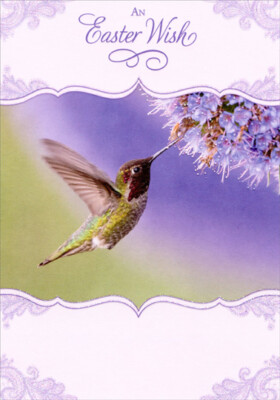 Hummingbird - Designer Greetings Easter Card by Designer Greetings