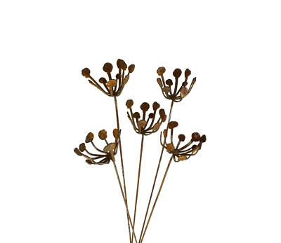Rusty Garden Decor  | Set of 5 Metal Flower Pods | Metal Garden Flowers Art