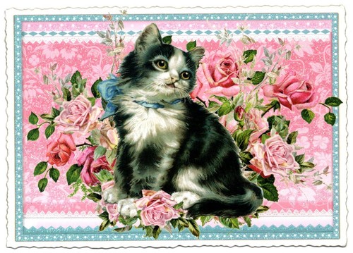Edition Tausendschön | Postkarte A6 | Flora & Fauna | Motiv wählbar - Bild 2 von 78