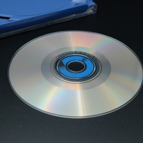 Fur Fighters - Sega Dreamcast - CIB completo - En muy buena condici&oacute;n casi como nuevo, leer descripci&oacute;n - probado