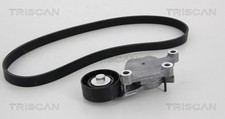 Keilrippenriemensatz TRISCAN 8642 10002 für C3 C4 C2 FORD MAZDA PEUGEOT SUZUKI 6