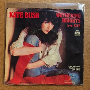 Wuthering Heights Kate | eBay