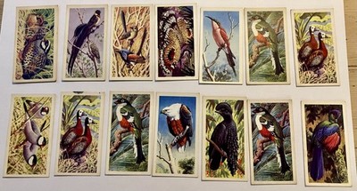 (A02) Brooke Bond Tea Cards  Tropical Birds  Set of 18 Cards